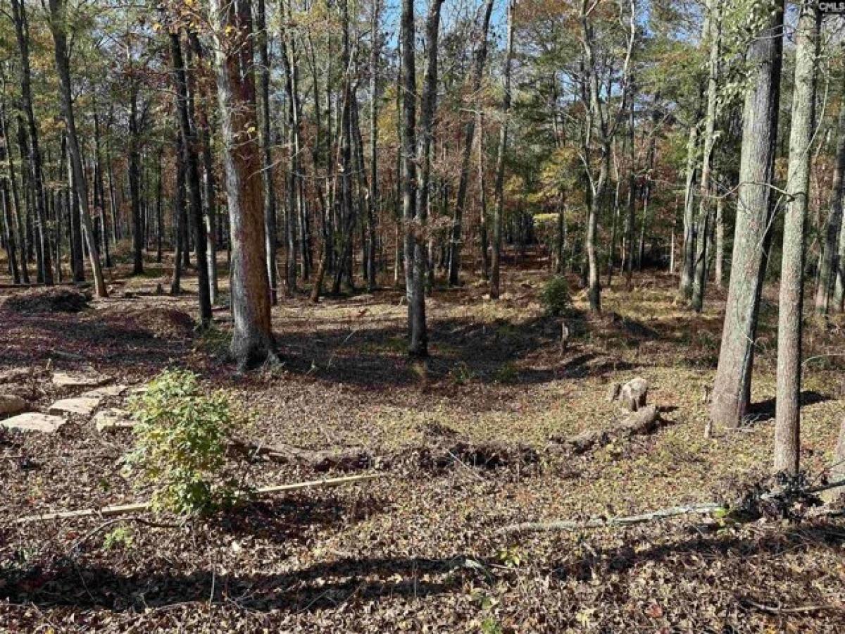 Picture of Residential Land For Sale in Blythewood, South Carolina, United States