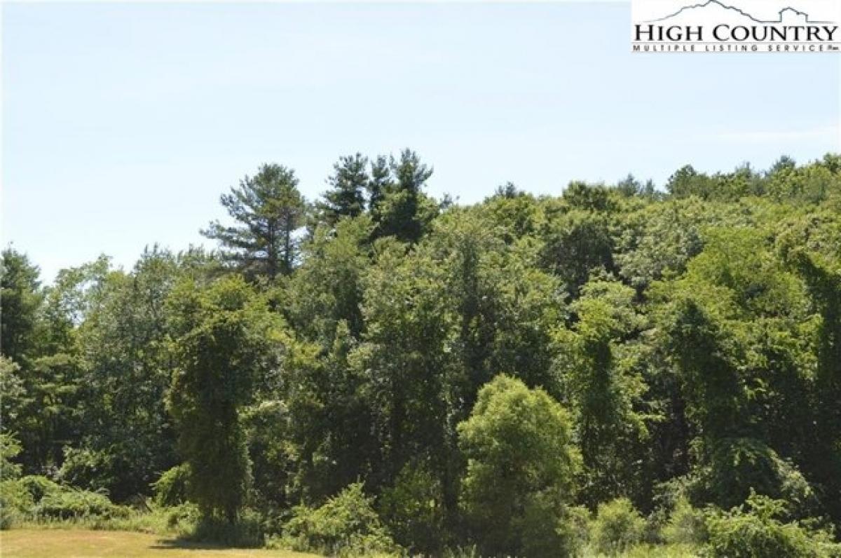 Picture of Residential Land For Sale in Ennice, North Carolina, United States