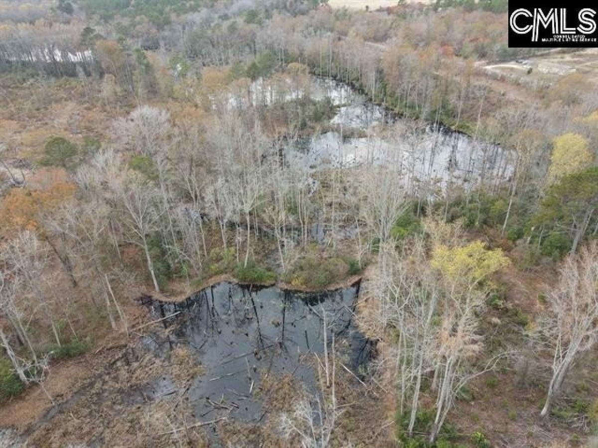 Picture of Residential Land For Sale in Camden, South Carolina, United States