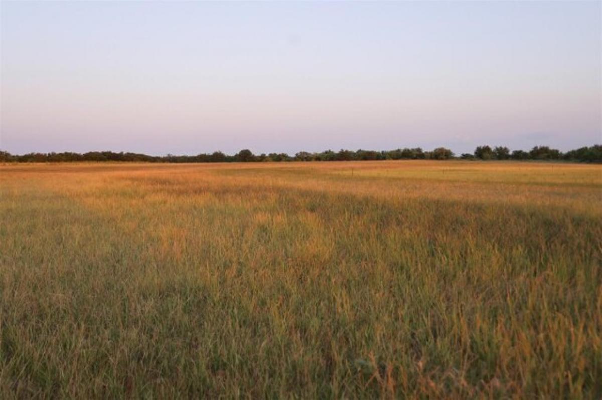 Picture of Residential Land For Sale in Olney, Texas, United States