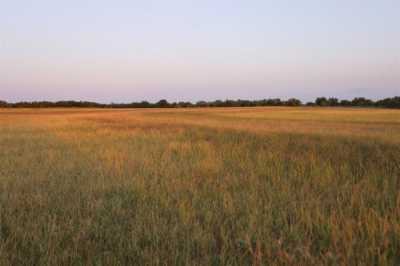 Residential Land For Sale in Olney, Texas