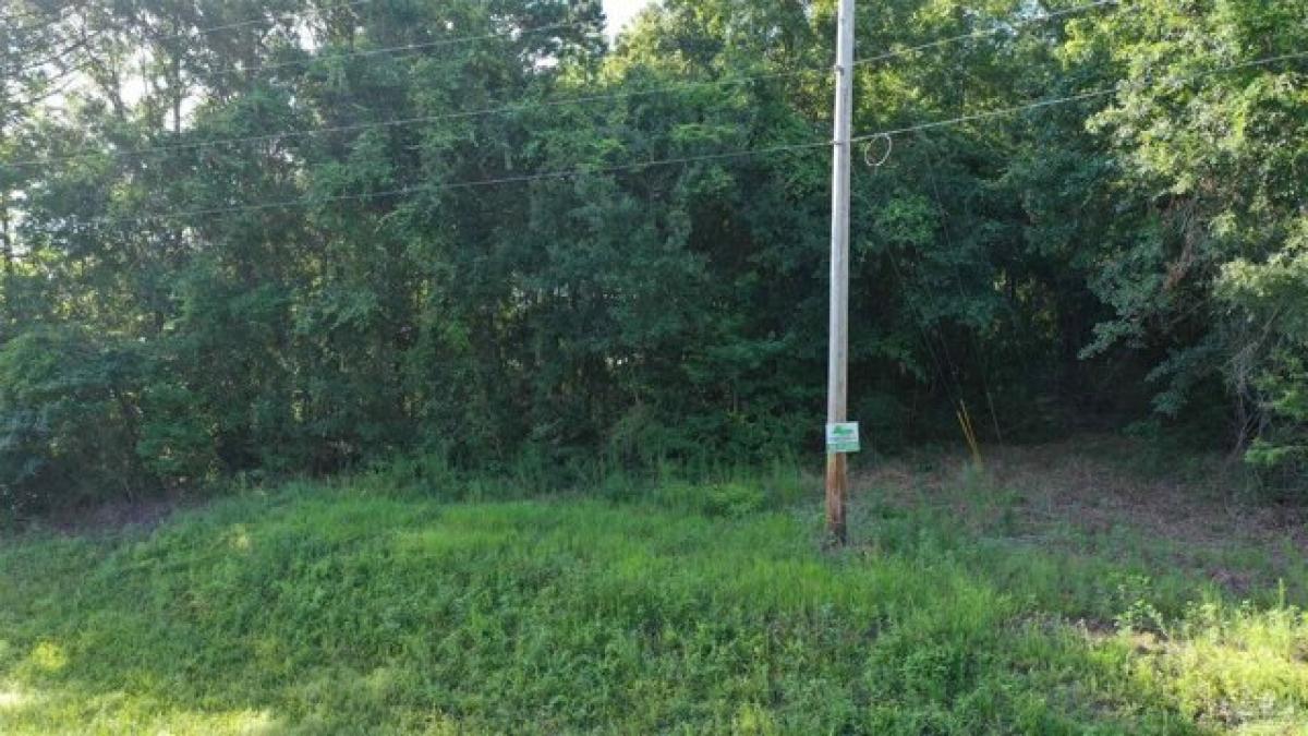 Picture of Residential Land For Sale in Century, Florida, United States