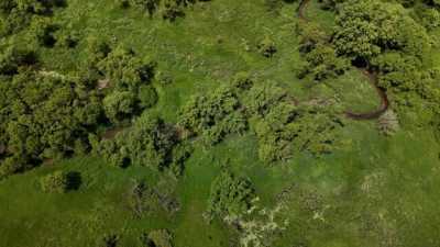 Residential Land For Sale in Hillsboro, Wisconsin