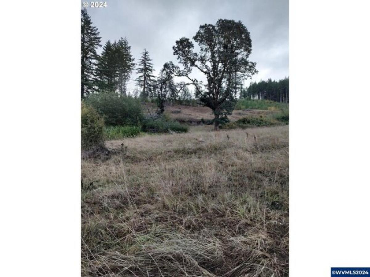 Picture of Residential Land For Sale in Willamina, Oregon, United States