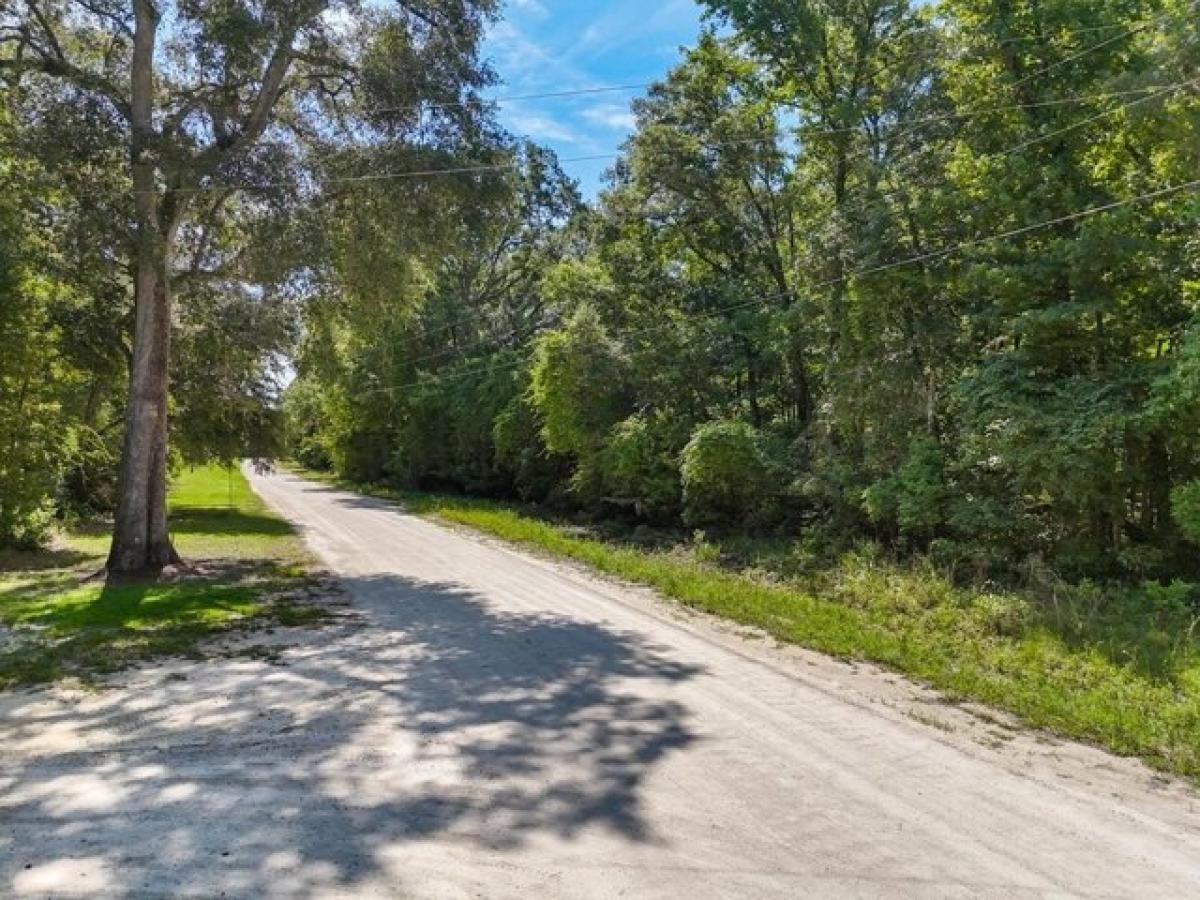 Picture of Residential Land For Sale in Old Town, Florida, United States