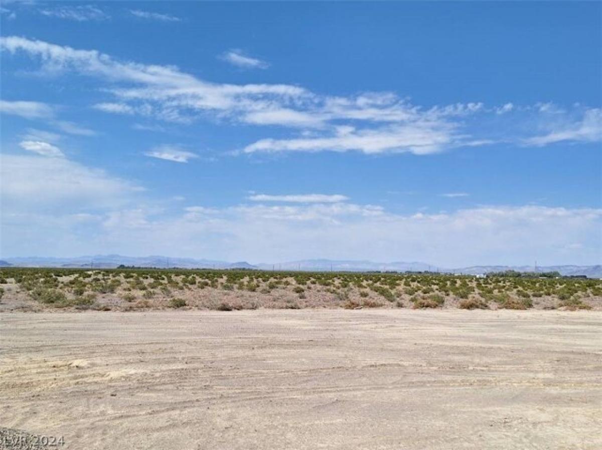 Picture of Residential Land For Sale in Amargosa Valley, Nevada, United States