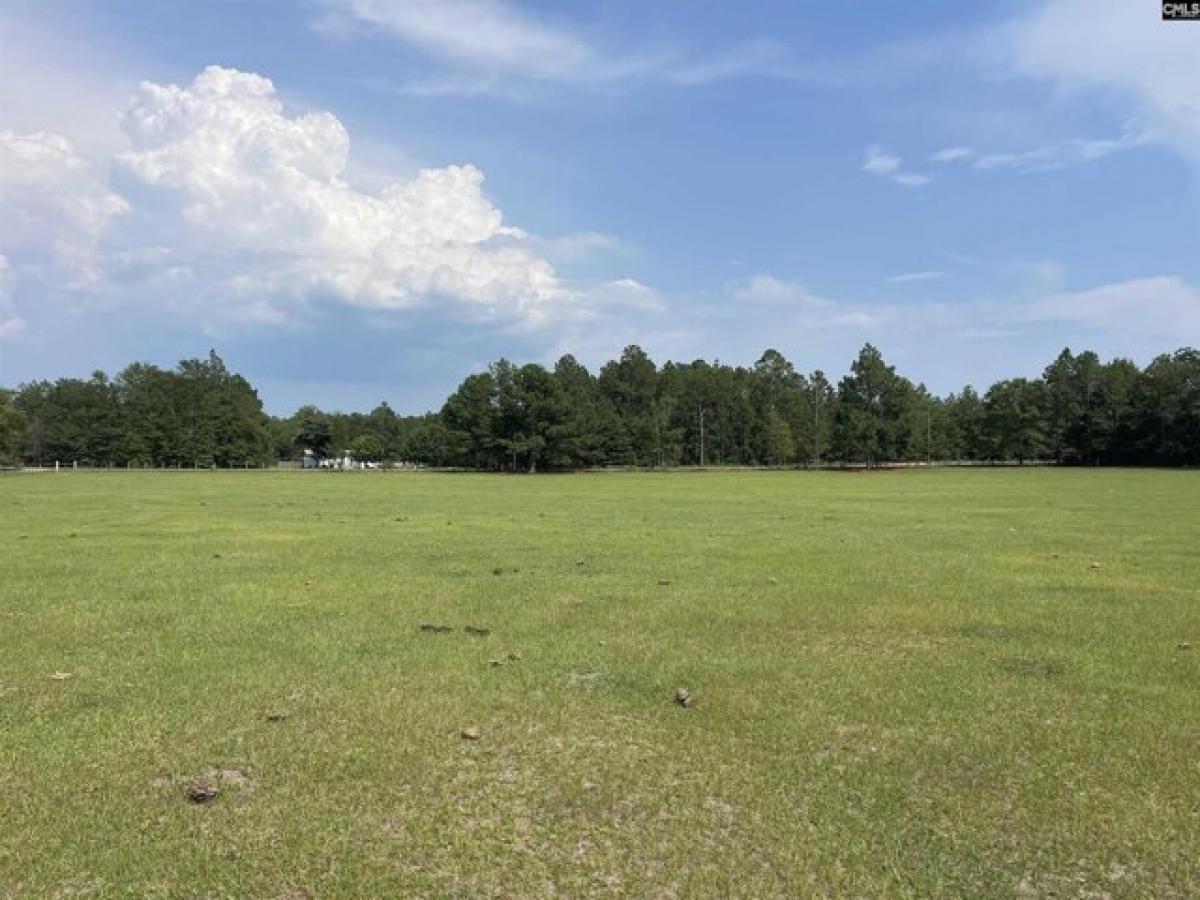 Picture of Residential Land For Sale in Wagener, South Carolina, United States