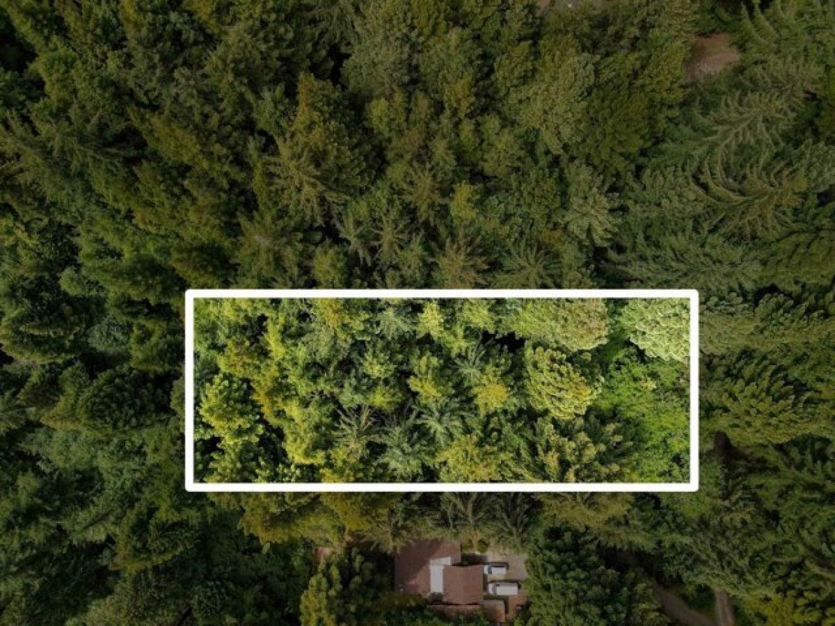 Picture of Residential Land For Sale in Crescent City, California, United States