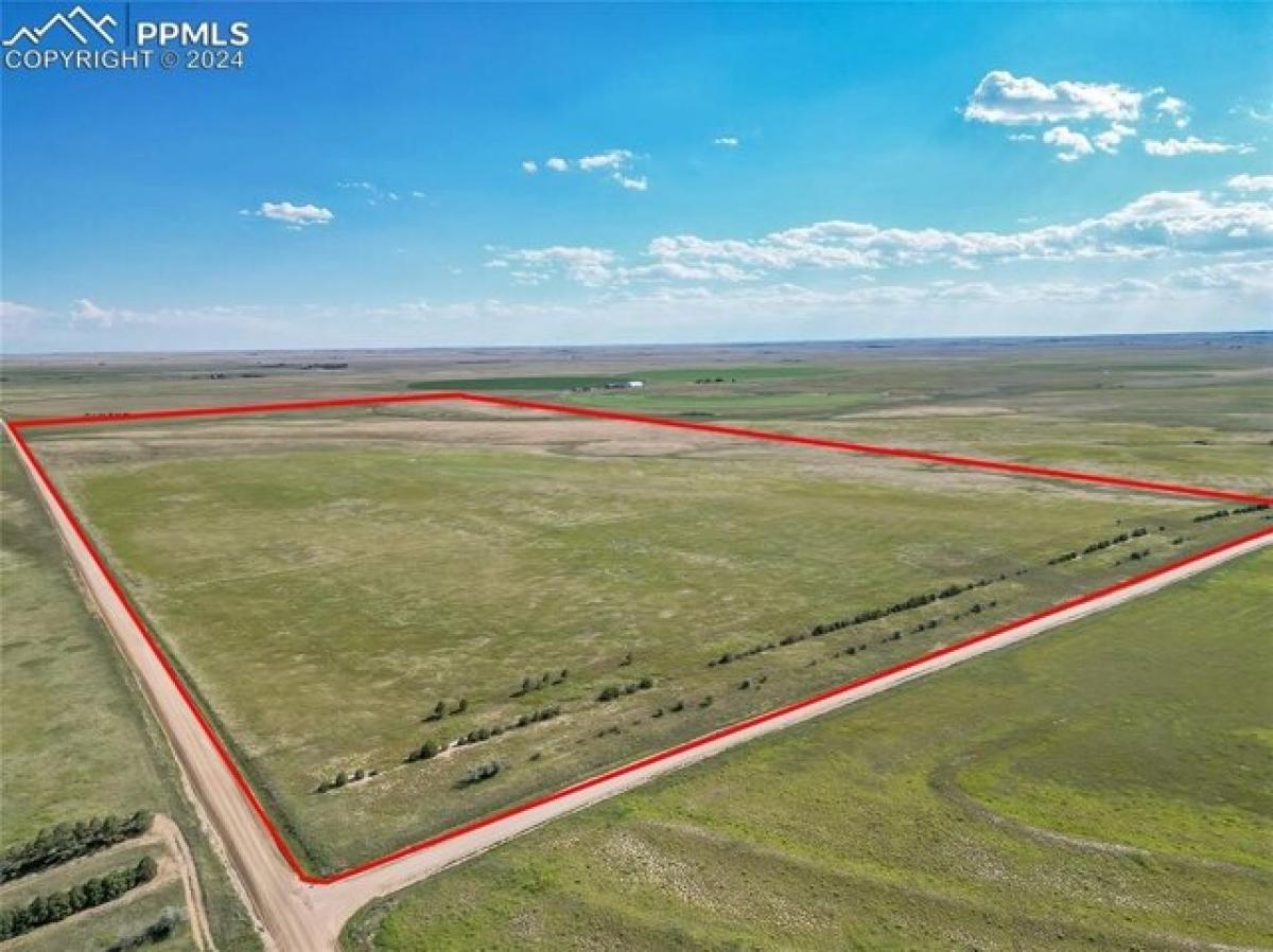 Picture of Residential Land For Sale in Rush, Colorado, United States