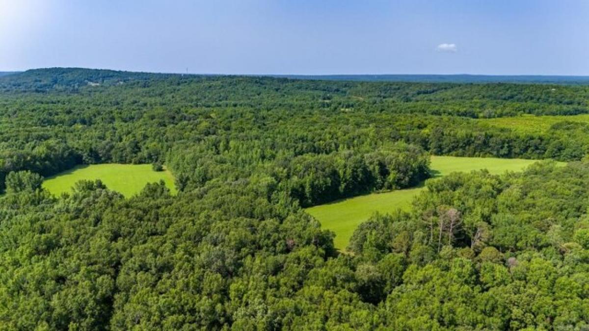 Picture of Residential Land For Sale in Enola, Arkansas, United States