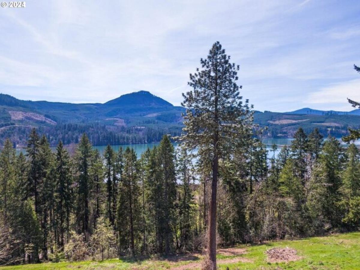 Picture of Residential Land For Sale in Lowell, Oregon, United States