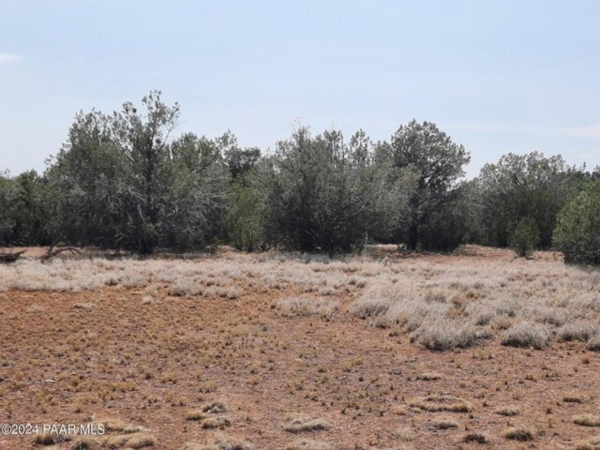 Picture of Residential Land For Sale in Seligman, Arizona, United States