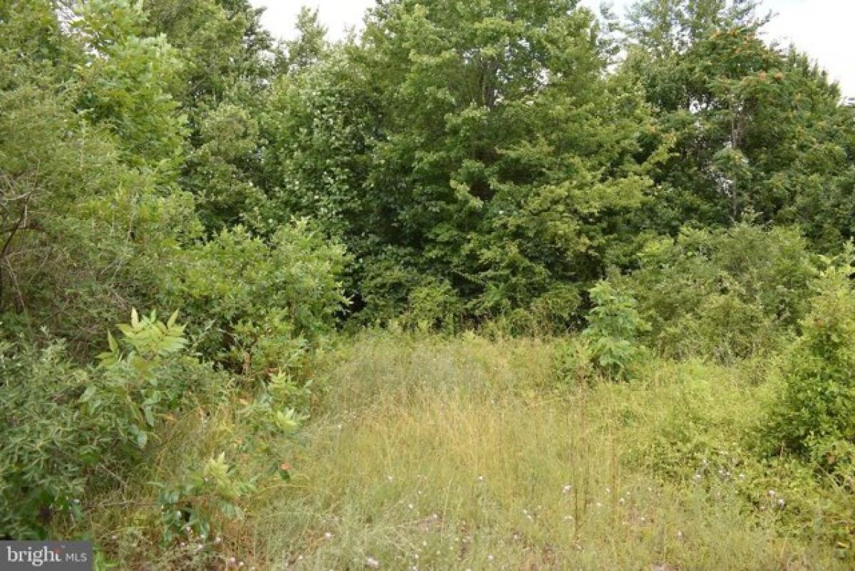 Picture of Residential Land For Sale in Warfordsburg, Pennsylvania, United States