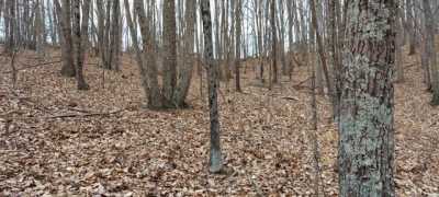 Residential Land For Sale in Hurt, Virginia