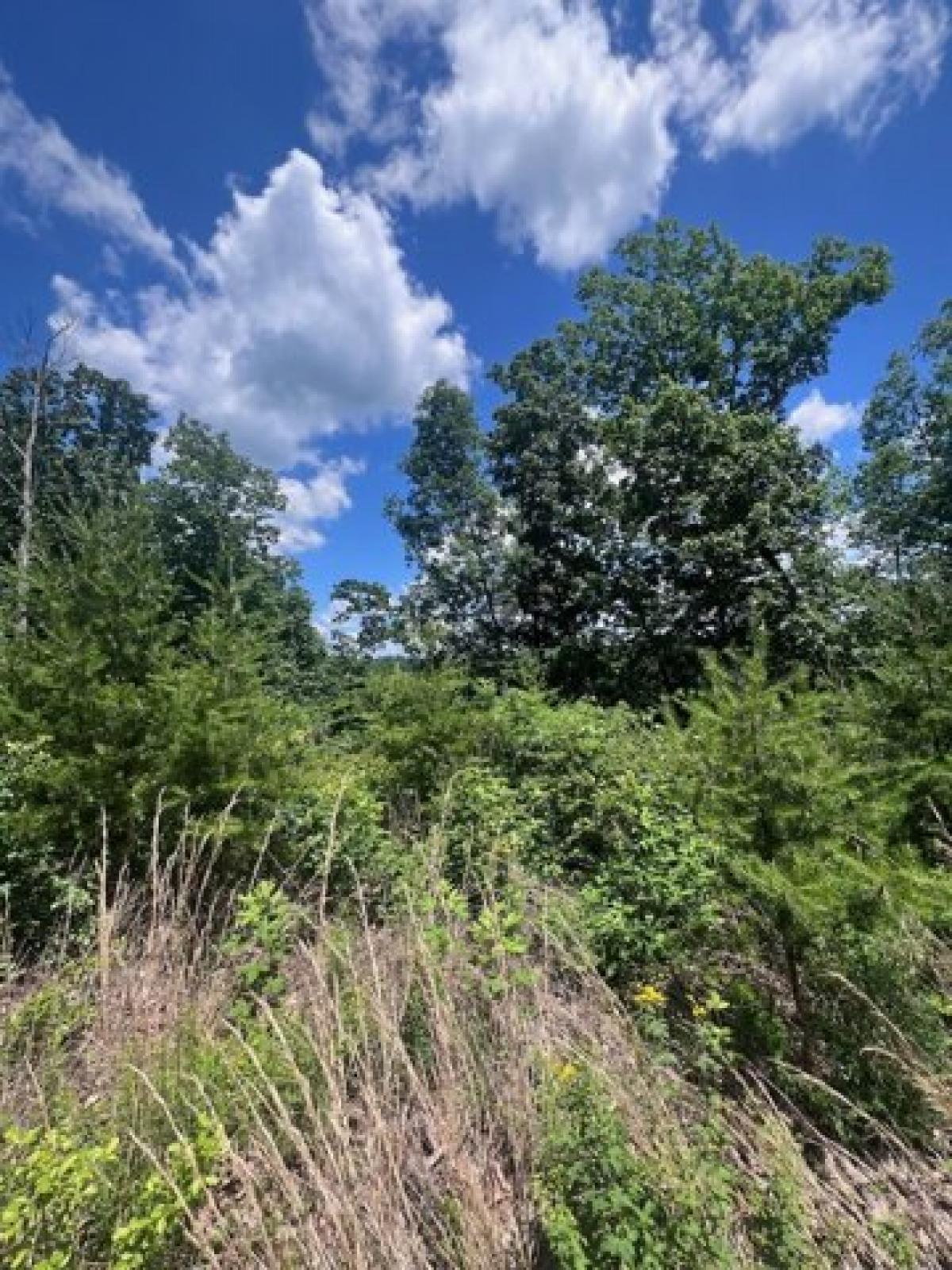 Picture of Residential Land For Sale in Lobelville, Tennessee, United States