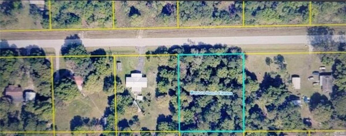 Picture of Residential Land For Sale in Clewiston, Florida, United States