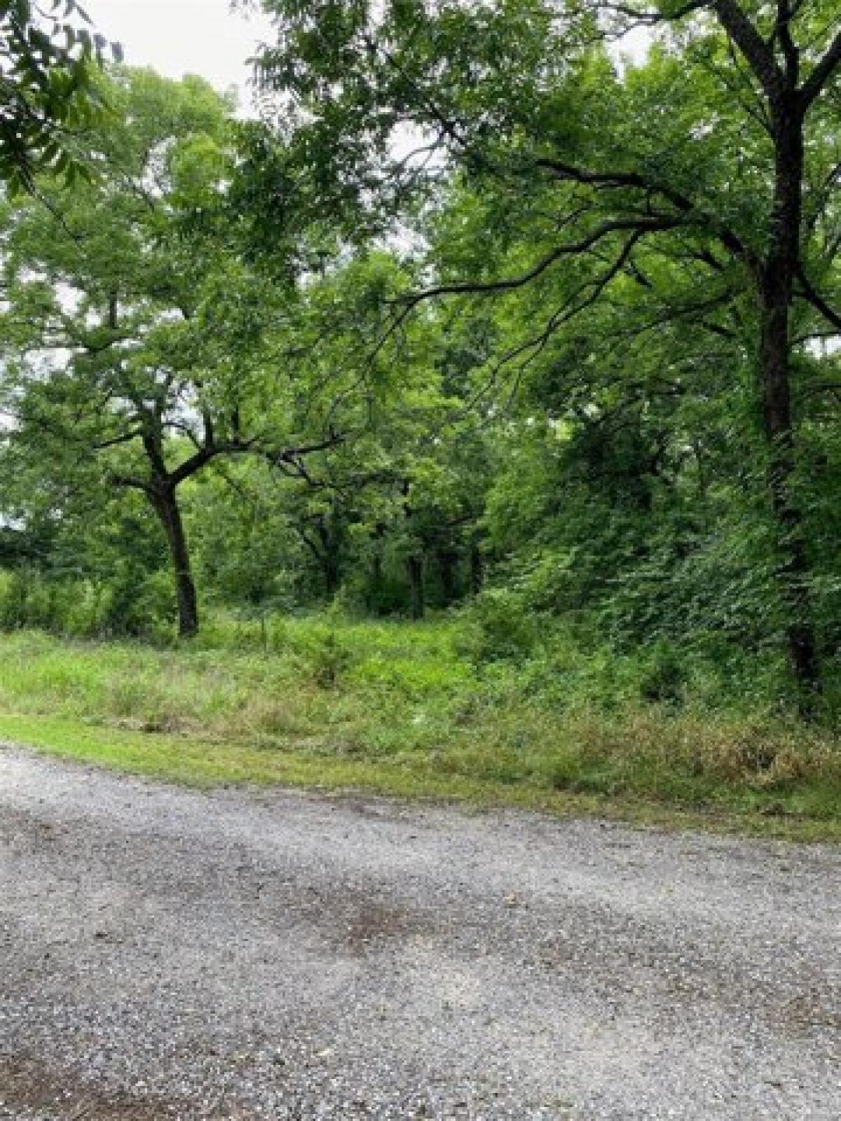 Picture of Residential Land For Sale in Lone Grove, Oklahoma, United States