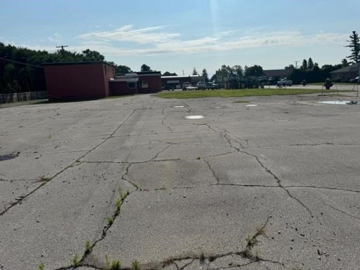 Picture of Residential Land For Sale in Reese, Michigan, United States