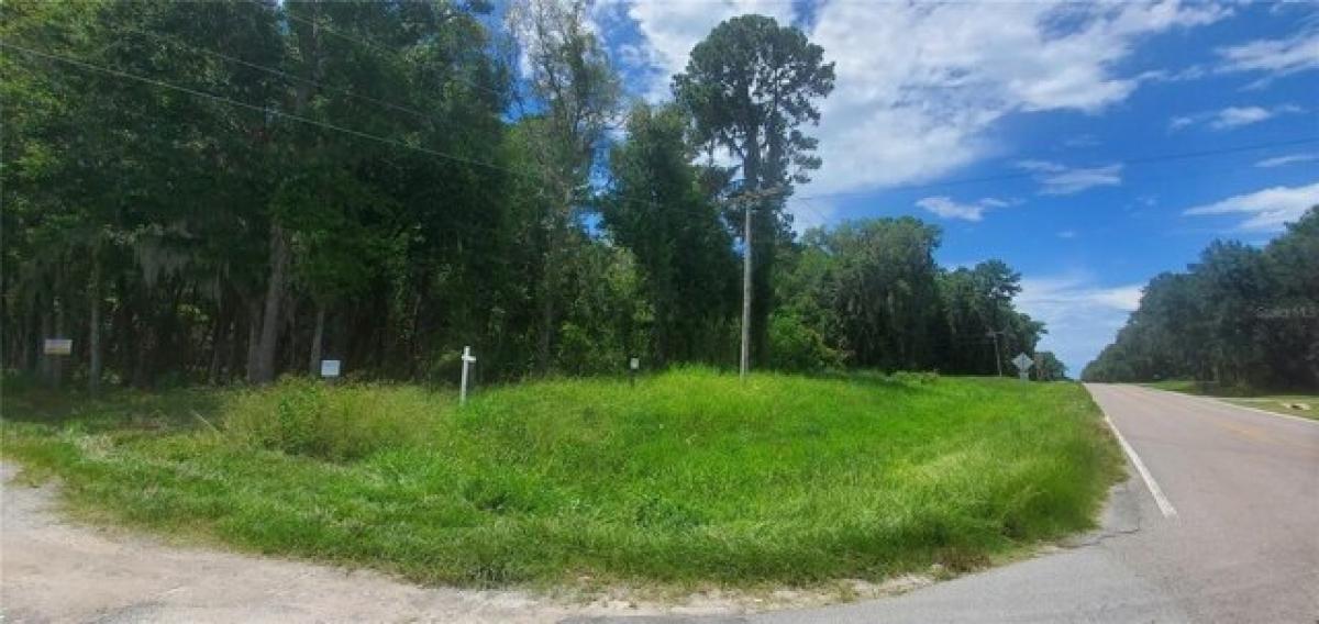 Picture of Residential Land For Sale in Reddick, Florida, United States