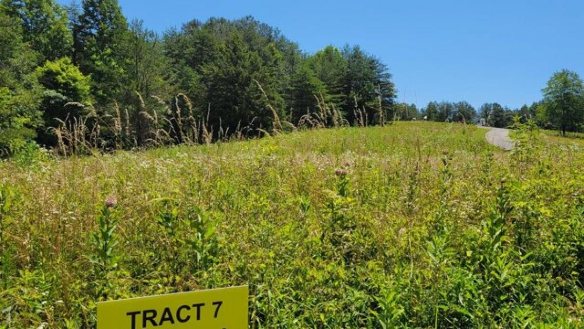 Picture of Residential Land For Sale in East Bernstadt, Kentucky, United States