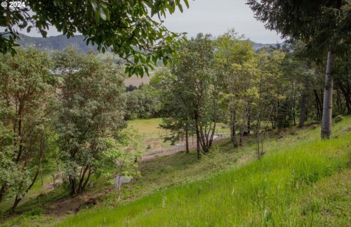 Picture of Residential Land For Sale in Myrtle Creek, Oregon, United States