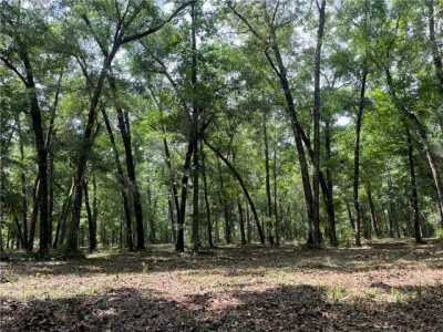 Residential Land For Sale in Darien, Georgia