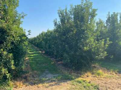 Residential Land For Sale in Escalon, California