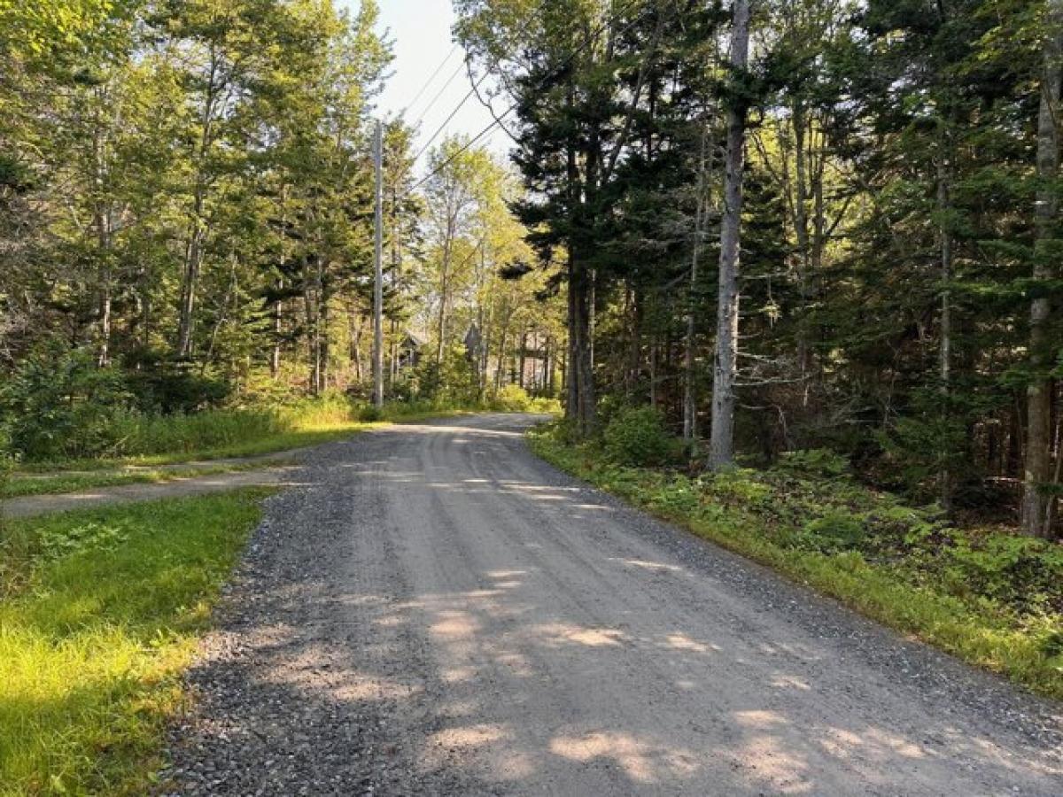 Picture of Residential Land For Sale in Bristol, Maine, United States