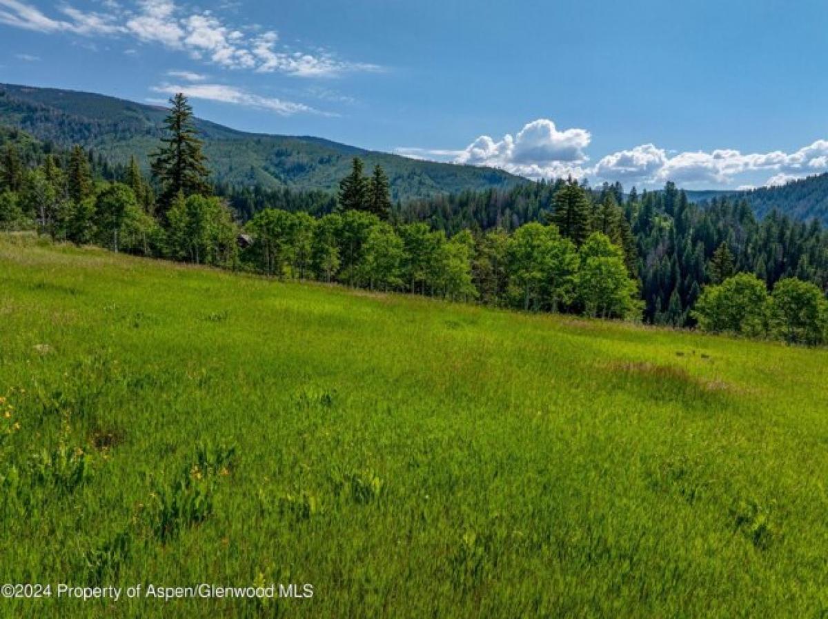 Picture of Residential Land For Sale in Basalt, Colorado, United States