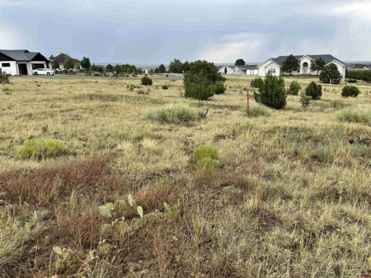 Picture of Residential Land For Sale in Trinidad, Colorado, United States