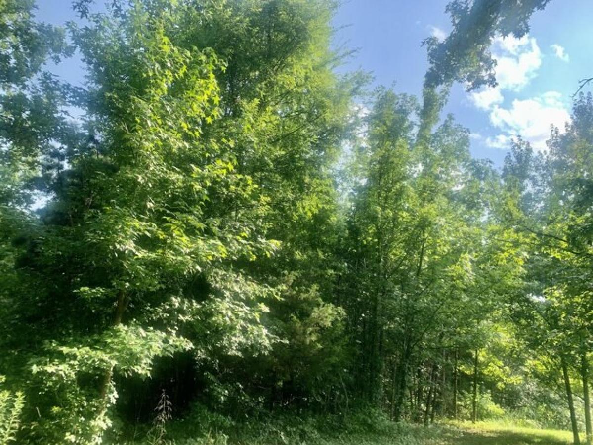 Picture of Residential Land For Sale in Dover, Arkansas, United States