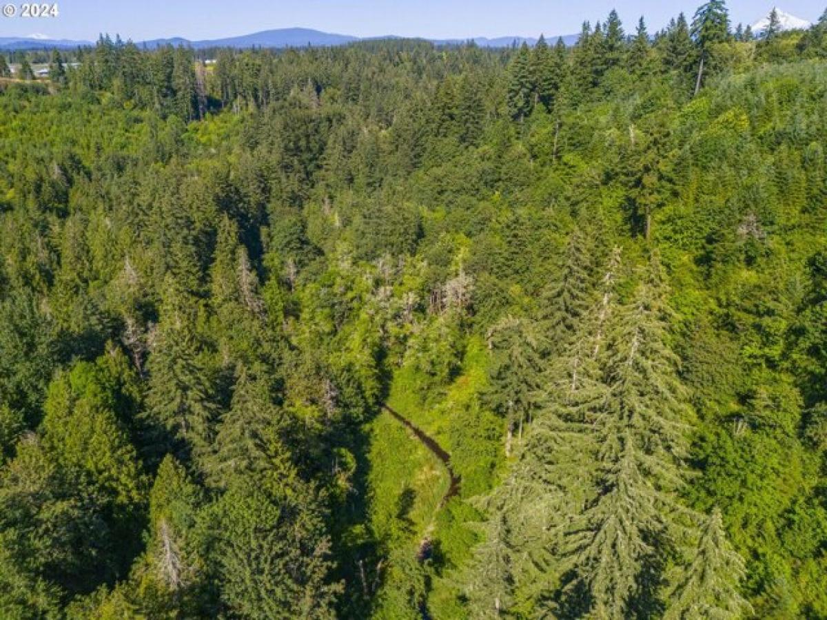 Picture of Residential Land For Sale in Boring, Oregon, United States