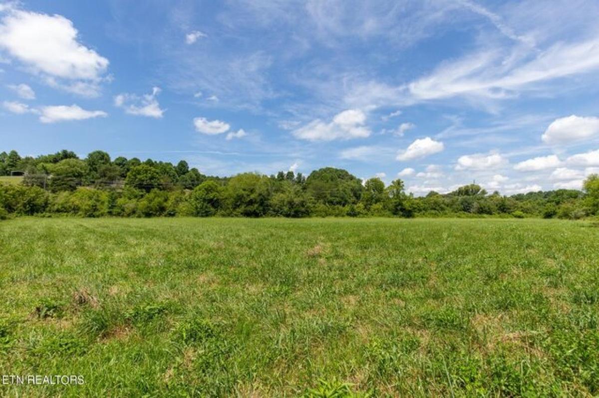 Picture of Residential Land For Sale in Seymour, Tennessee, United States