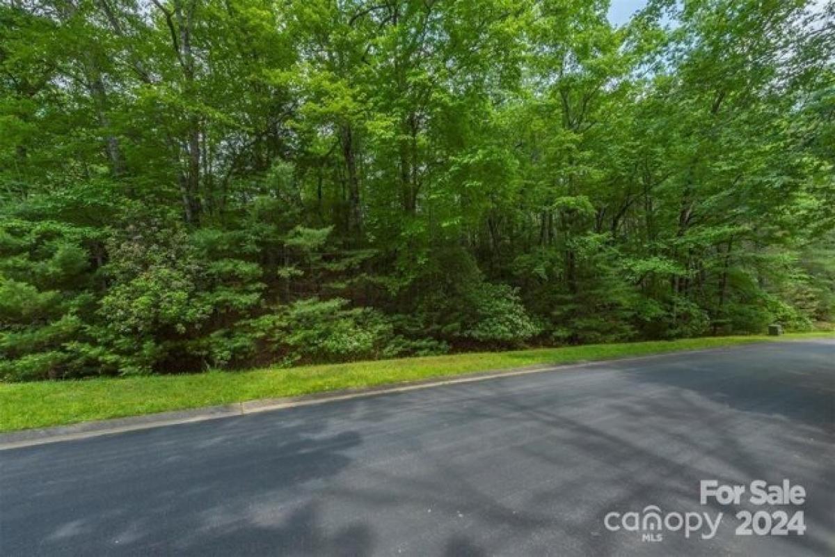 Picture of Home For Sale in Horse Shoe, North Carolina, United States