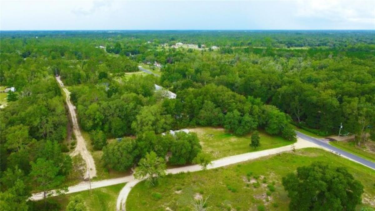 Picture of Residential Land For Sale in Williston, Florida, United States