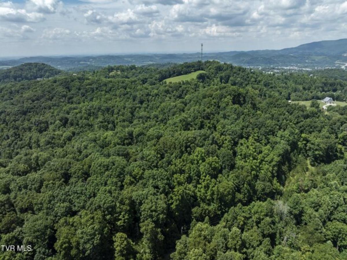 Picture of Home For Sale in Elizabethton, Tennessee, United States