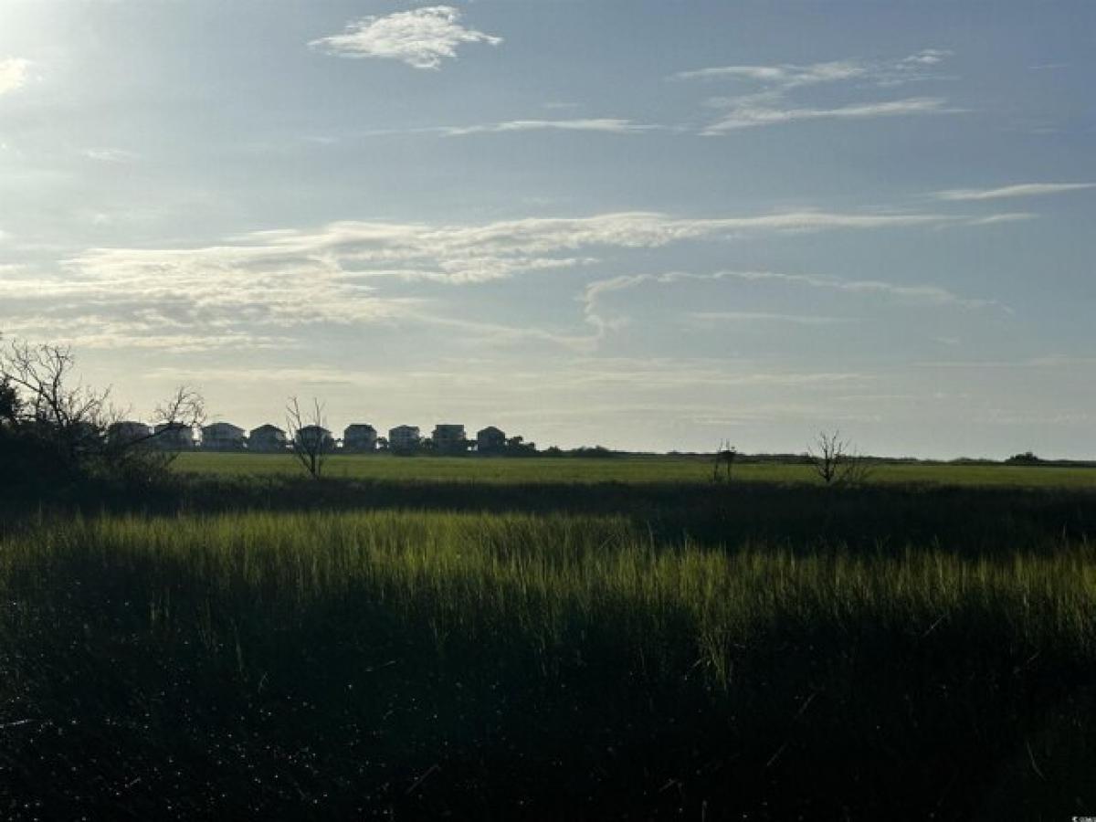 Picture of Residential Land For Sale in Pawleys Island, South Carolina, United States