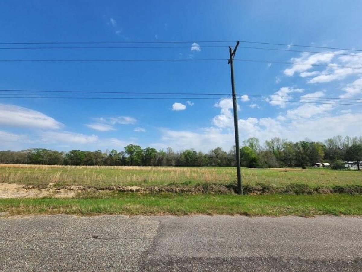 Picture of Residential Land For Sale in Cottonwood, Alabama, United States