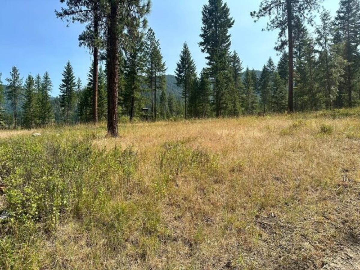 Picture of Residential Land For Sale in Thompson Falls, Montana, United States