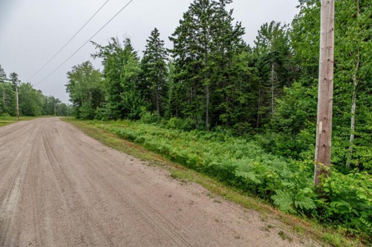 Picture of Residential Land For Sale in Steuben, Maine, United States