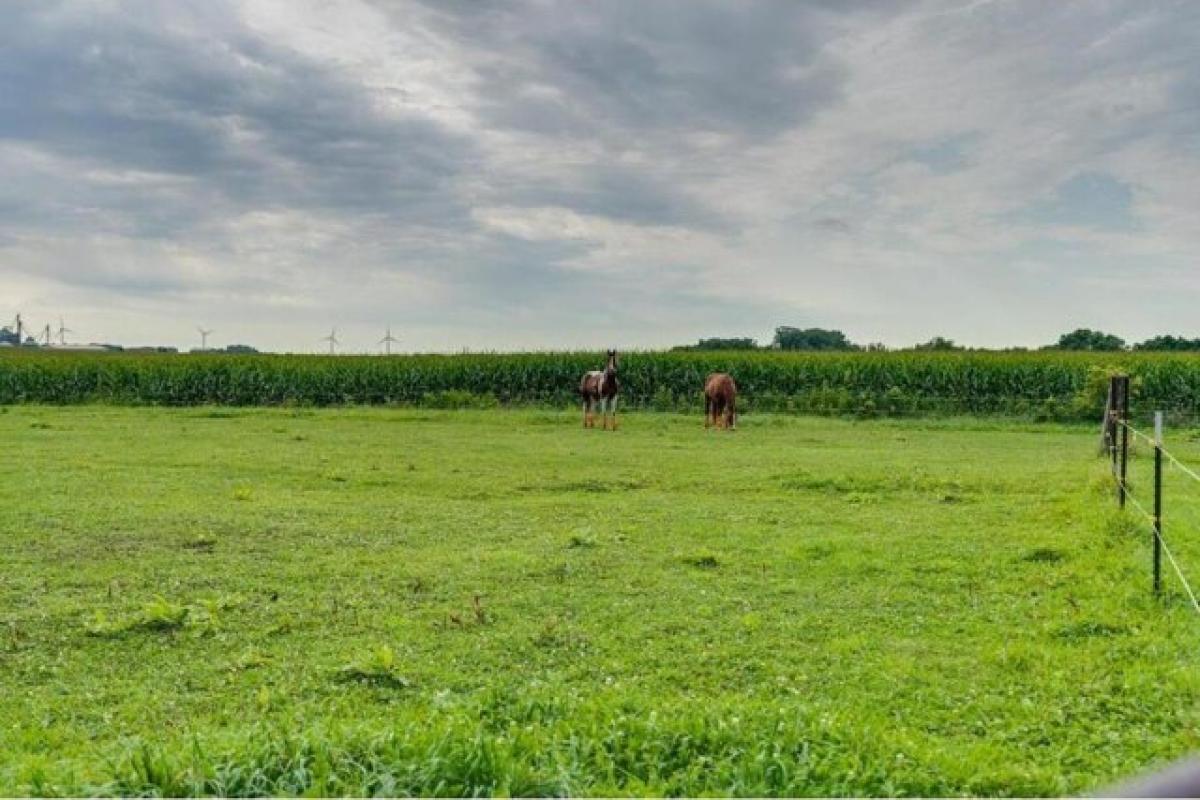 Picture of Home For Sale in Owatonna, Minnesota, United States