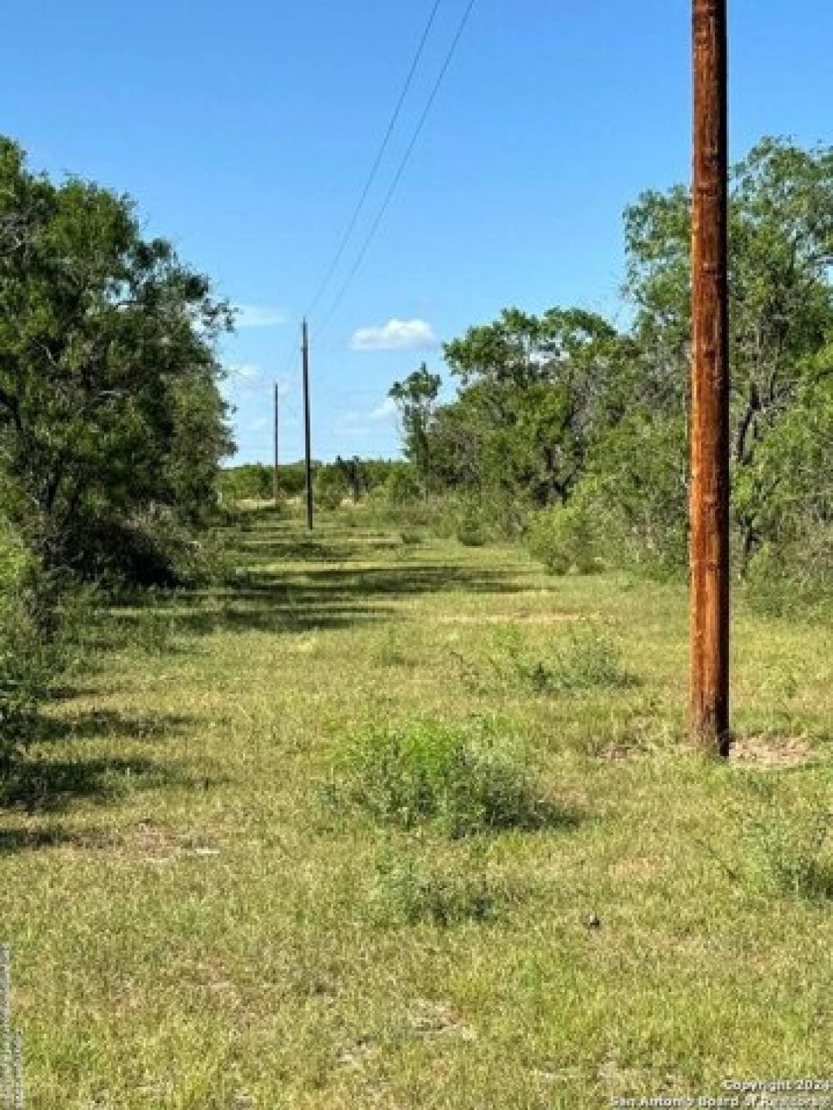 Picture of Residential Land For Sale in Pleasanton, Texas, United States