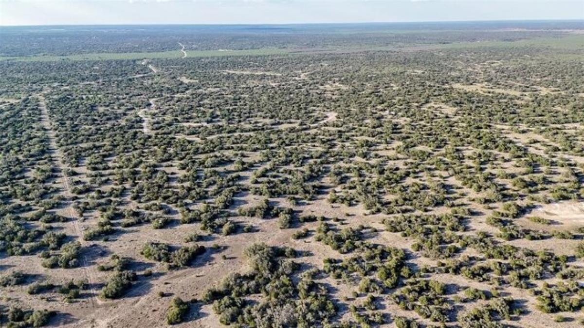 Picture of Residential Land For Sale in Eldorado, Texas, United States