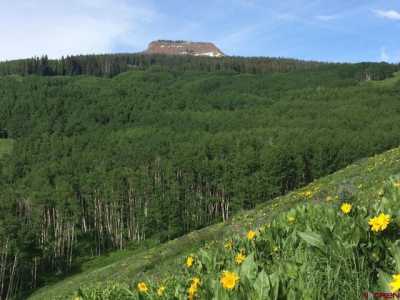 Residential Land For Sale in Crested Butte, Colorado