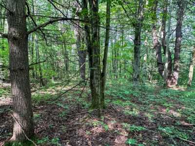 Residential Land For Sale in Canaseraga, New York