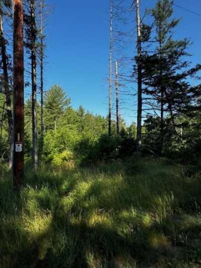 Residential Land For Sale in Minocqua, Wisconsin