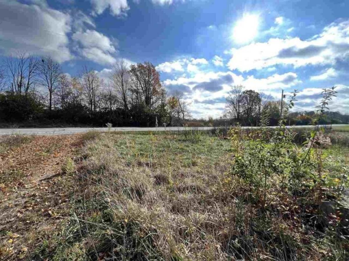 Picture of Residential Land For Sale in New Castle, Indiana, United States