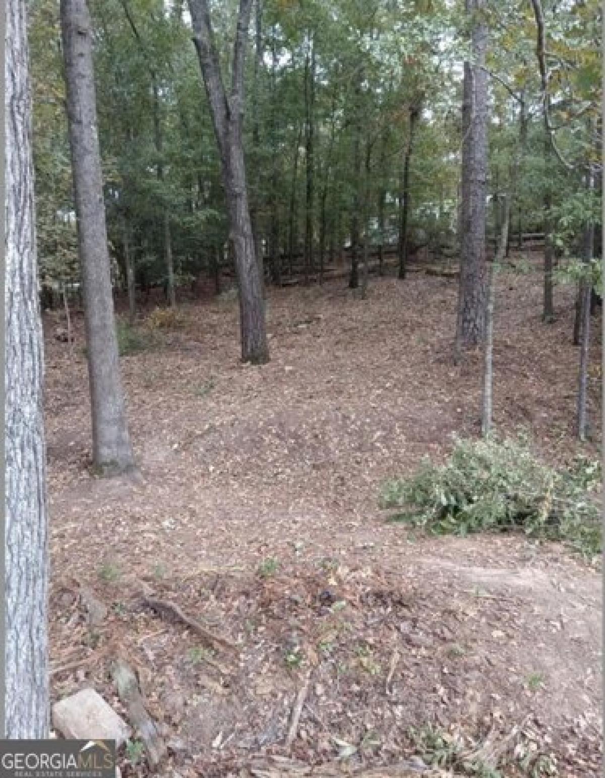 Picture of Residential Land For Sale in Warner Robins, Georgia, United States