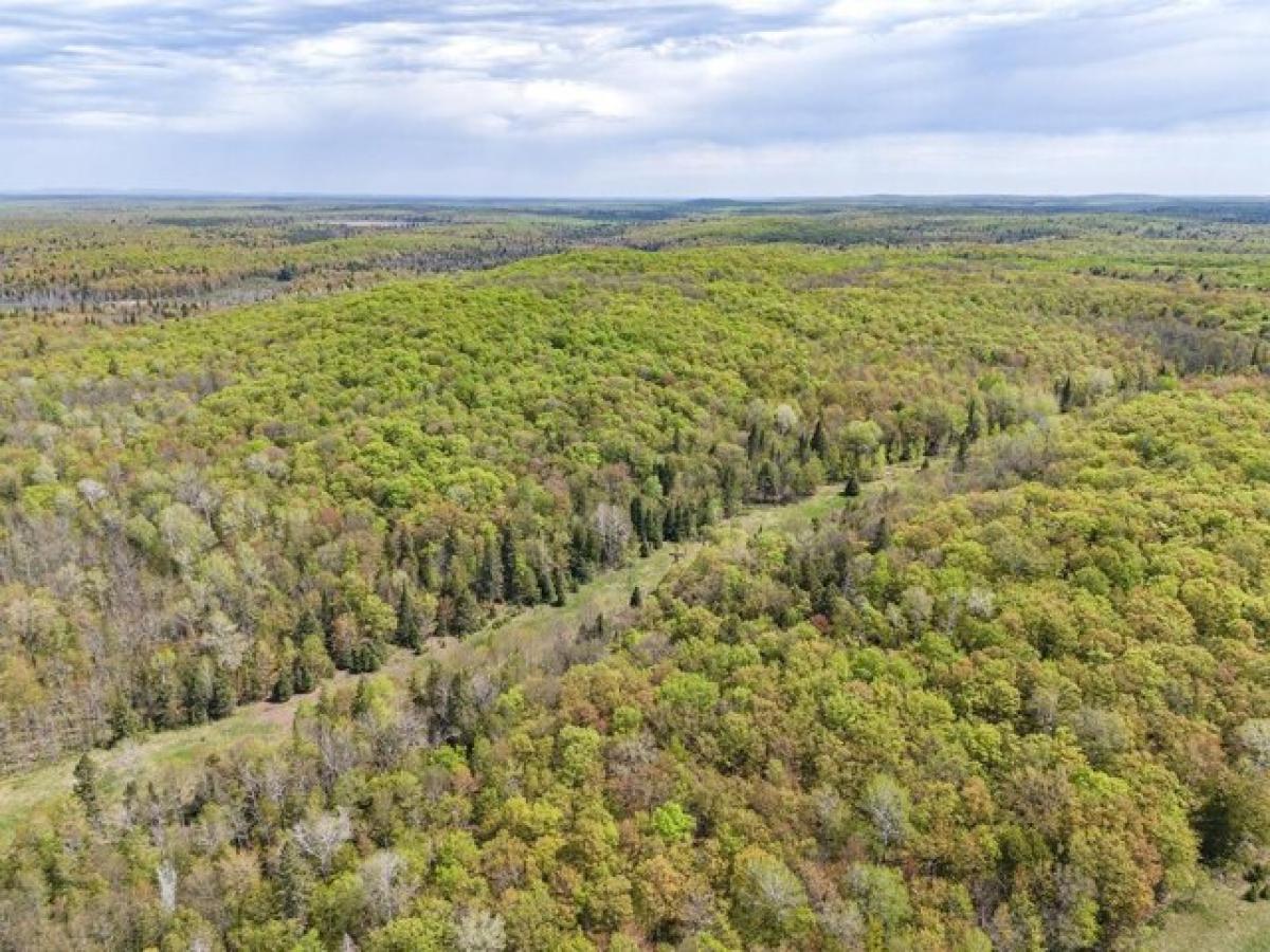 Picture of Residential Land For Sale in Marenisco, Michigan, United States