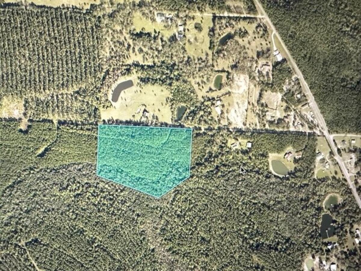 Picture of Residential Land For Sale in Jay, Florida, United States